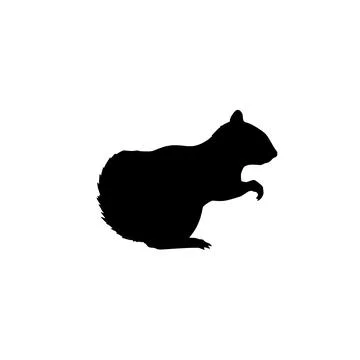Black Silhouette Of A Squirrel On White Background Stock Illustration