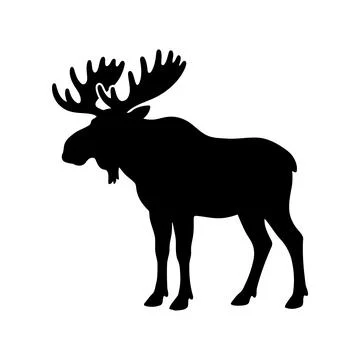 Black Silhouette of a Standing Moose in Profile for Graphic Illustration Ilustração Stock