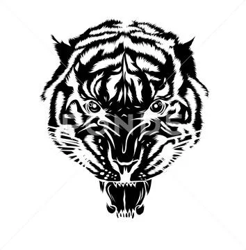 Tiger Tattoo Stock Illustration - Download Image Now - Aggression, Animal,  Animal Body Part - iStock