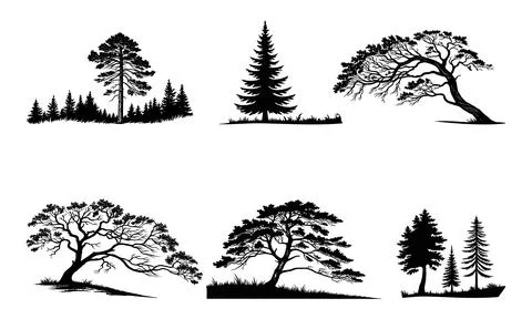 Black silhouette trees on white background Stock Illustration