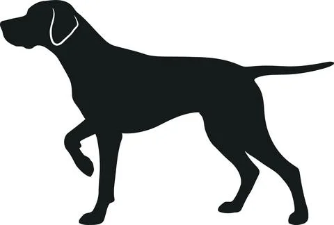 Black Silhouette Vector Graphic of a Pointing Hunting Dog in Profile View Illustrazione stock