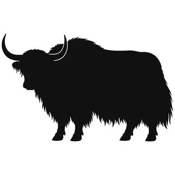 Black Silhouette Vector Graphic of a Yak Standing on a Plain White Background Stock Illustration