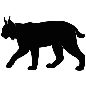 Black Silhouette Vector Illustration of a Walking Lynx Isolated on White Ba.. Stockillustratie