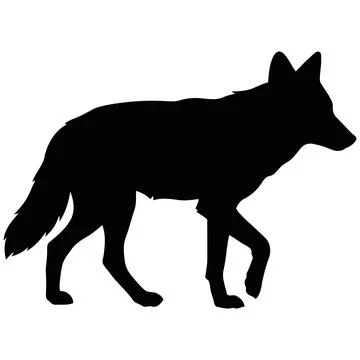 Black Silhouette of a Walking Wolf Isolated on a Plain White Background Graph Ilustración de archivo