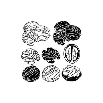 Black Silhouette Walnuts Collection. Vector icon. Stock Illustration