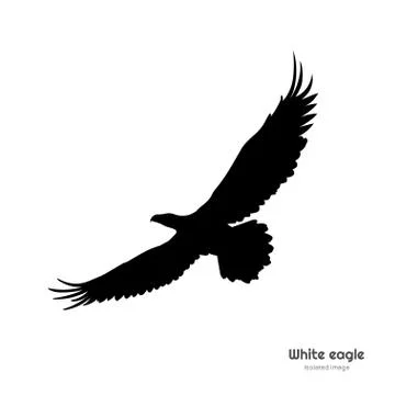 Black silhouette of white eagle. Isolated drawing of american symbol. Tattoo Stock Illustration