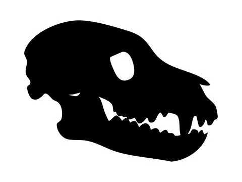 Black silhouette of wolf skull with sharp teeth and long snout, isolated on Stock Illustration