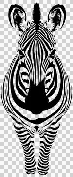 Black-silhouette-of-a-zebra-without-background イラスト素材