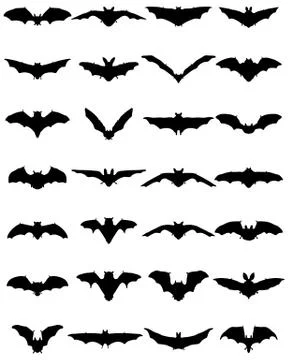 Black silhouettes of bats Stock Illustration