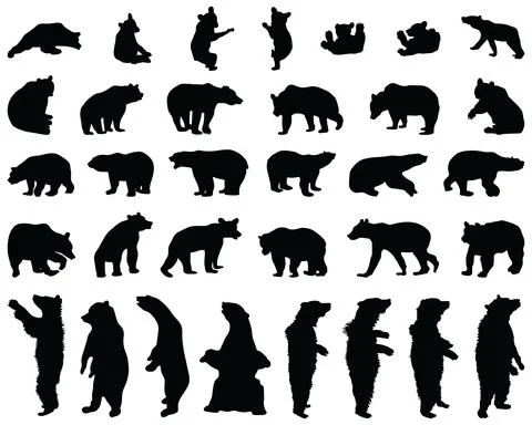 Black silhouettes of bears Stock Illustration
