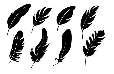 Black silhouettes of bird feather Stock Illustration