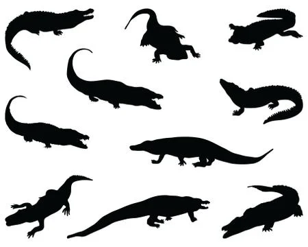 Black silhouettes of crocodiles Stock Illustration