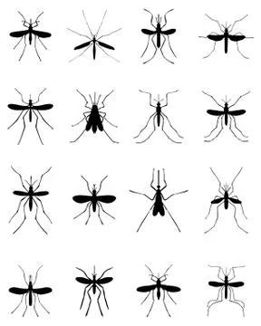 Black silhouettes of different mosquito Stock Illustration