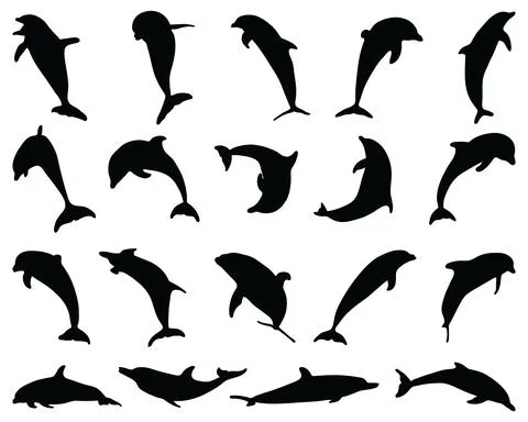 Black silhouettes of dolphins Stock Illustration