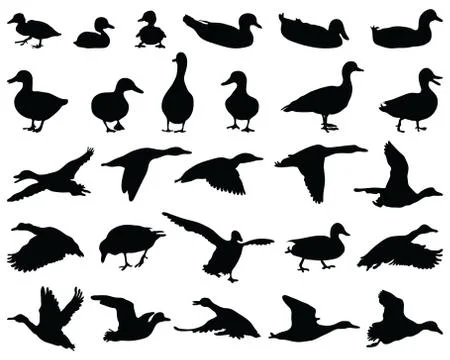 Black silhouettes ducks Stock Illustration