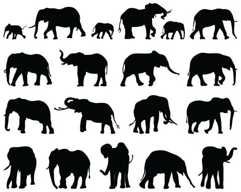 Black silhouettes of elephants Stock Illustration