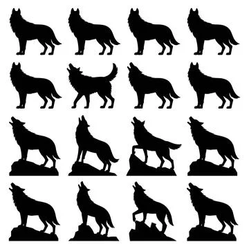 Black Silhouettes of Howling Wolves on Rocks and Ground Stock Illustration