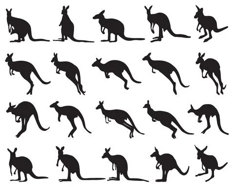 Black silhouettes of kangaroo Stock Illustration