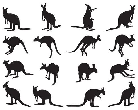 Black silhouettes of kangaroo Stock Illustration