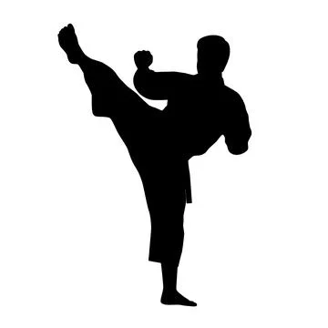 Black silhouettes of karate fighting, Single combats, a set of silhouettes Stock Illustration