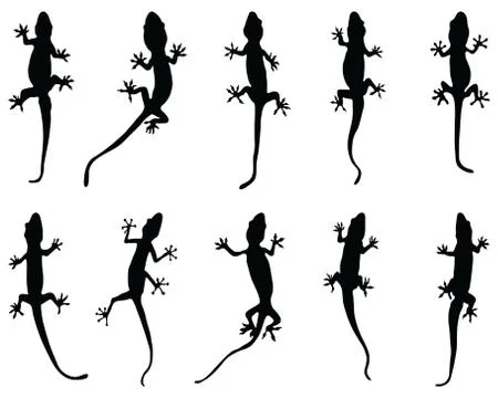 Black silhouettes of lizards Stock Illustration