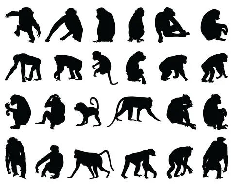 Black silhouettes of monkeys Stock Illustration