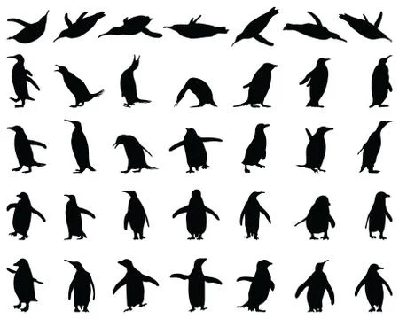 Black silhouettes of penguins Stock Illustration