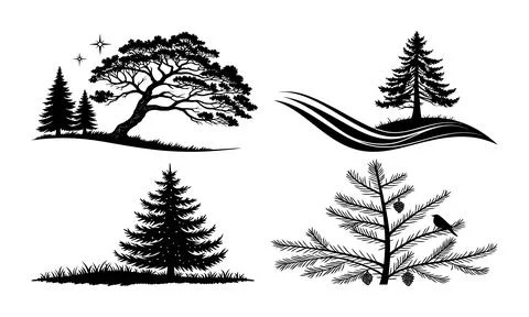 Black silhouettes of pine trees and a bird on a white background Stock Illustration