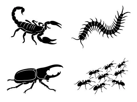 Black silhouettes of scorpion centipede beetle and ant colony isolated on a Stock Illustration