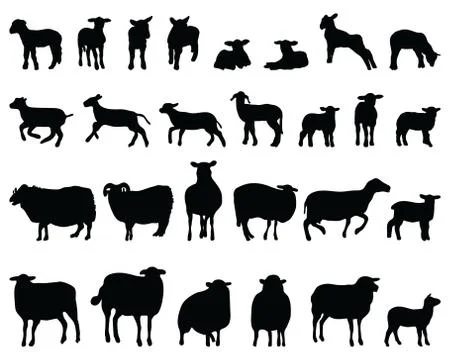 Black silhouettes sheep Stock Illustration