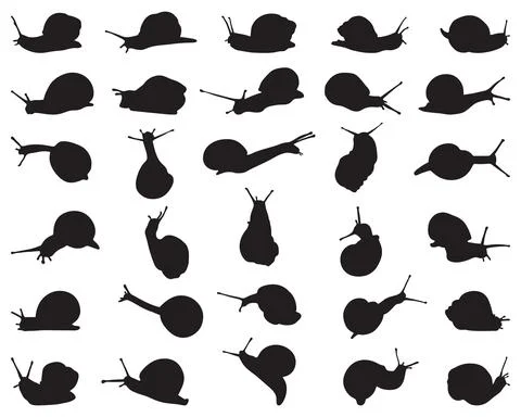 Black silhouettes of snails Stock Illustration