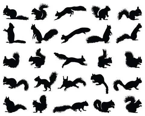 Black silhouettes of squirrels Stock Illustration