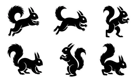 Black silhouettes of squirrels in various poses white background rodents Stock Illustration