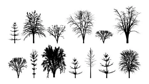 Black silhouettes of trees set Stock Illustration