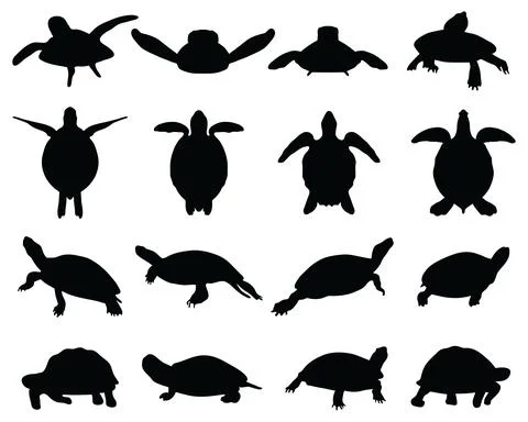 Black silhouettes of turtles Stock Illustration