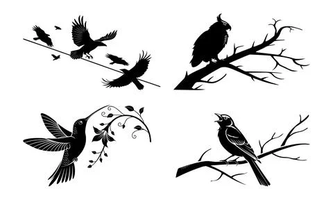 Black silhouettes of various birds on branches and in flight bird Stock Illustration