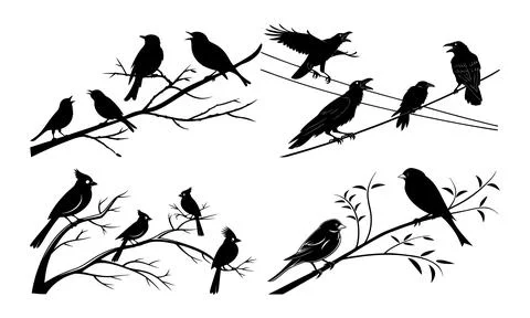 Black silhouettes of various birds on tree branches and power lines bird Stock Illustration