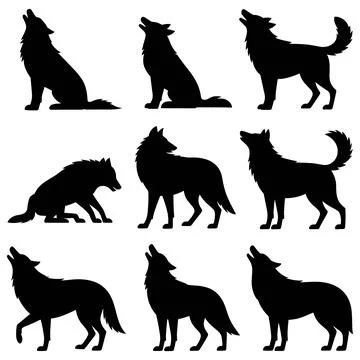 Black silhouettes of wolves in various poses howling Stock Illustration