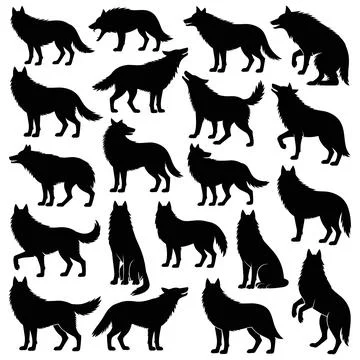 Black silhouettes of wolves in various poses on white background Stock Illustration