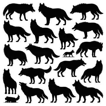 Black silhouettes of wolves in various poses on white background 1 Stock Illustration