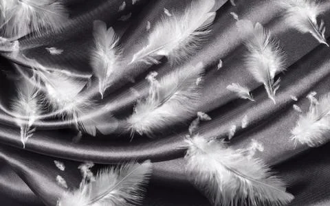 Black silk shiny background, large and small white air feathers Stock Illustration