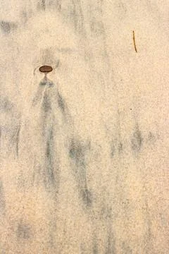 Black silt patterns in beach sand looking like alien, angel person Stock Photos