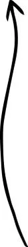 Black Simple thin arrow variation illustration Stock Illustration