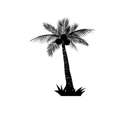 Black single palm tree silhouette icon isolated Stock Illustration
