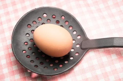 Black skimmer with an egg Stock Photos