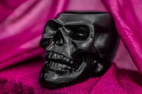 Black skull with pink background Stock Photos