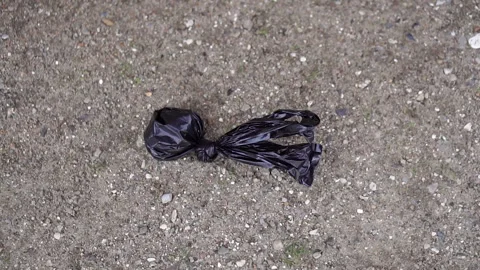 Black small package on the ground. Dog excrement in a bag. Stock Footage 269968438