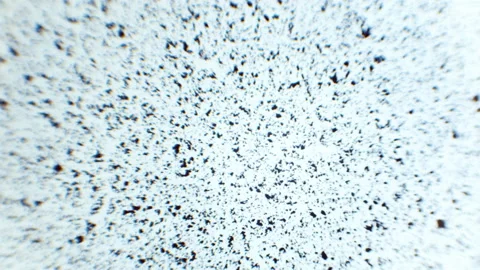 Black small particles in clear water liquid against white background texture Stock Footage 168713527
