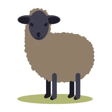 Black small Sheep isolated Stock Illustration
