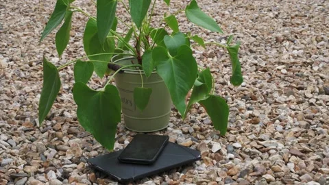 Black smartphone Video stock 132350611